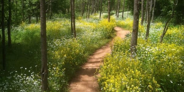 Mountain Biking in Central Kentucky
